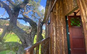 Casa del árbol Amadeus Guatavita
